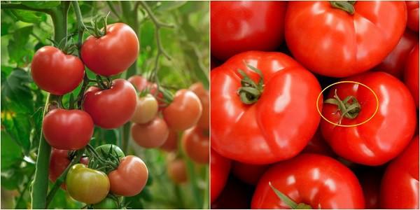 2 cách làm tương cà chua ngon để được lâu tại nhà đơn giản