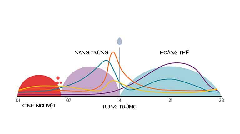 Biểu hiện trứng không được thụ tinh như thế nào? 1