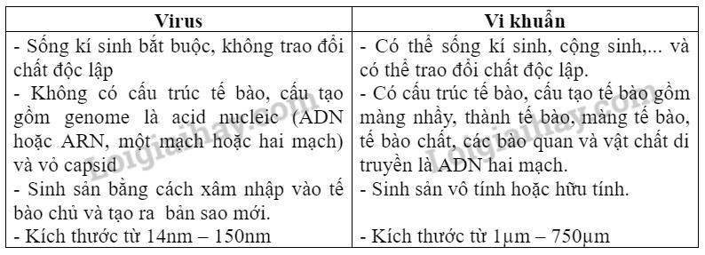 Bài 29. Virus trang 140, 141, 142, 143, 144 Sinh 10 Chân trời sáng tạo</>