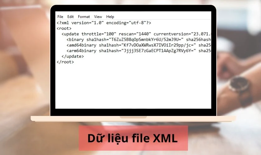 Cách chuyển file XML sang PDF dân văn phòng nên biết