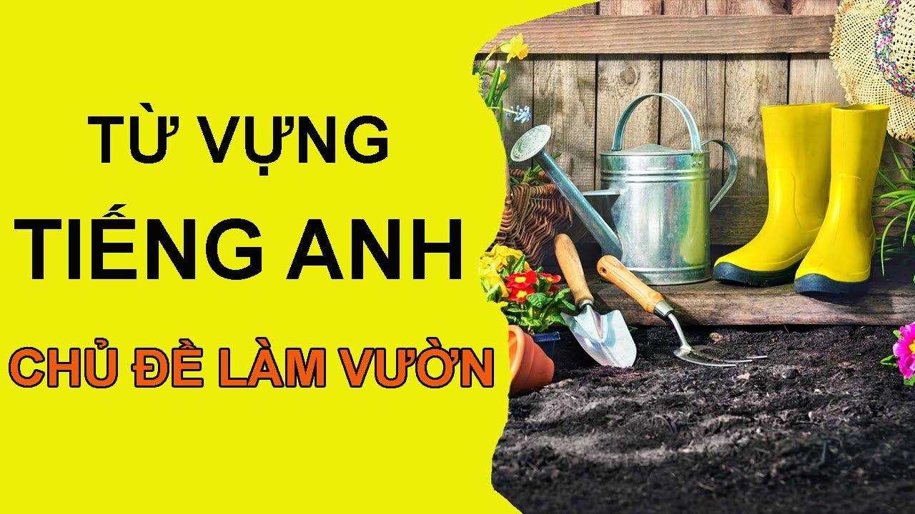 Từ vựng tiếng Anh chủ đề làm vườn