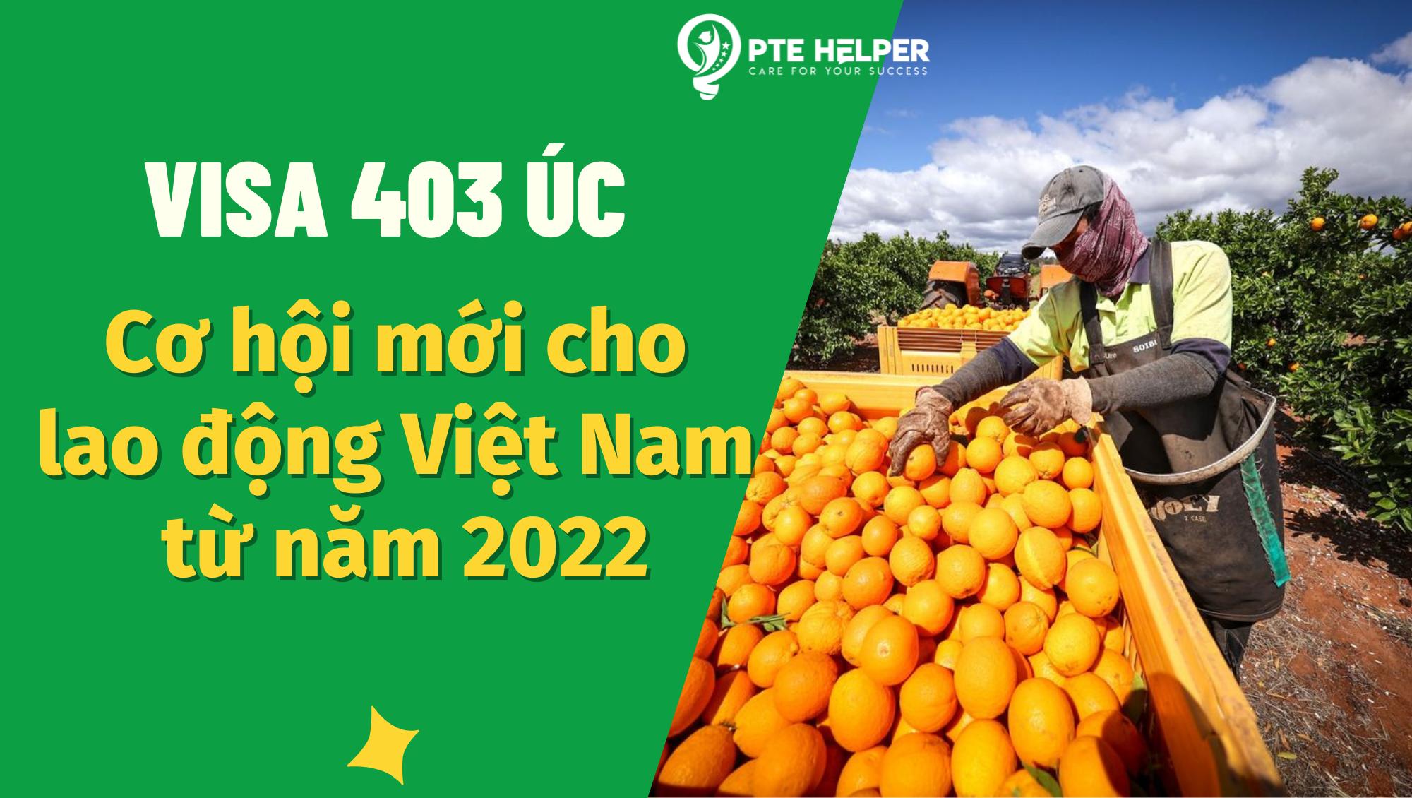 visa 403 - cơ hội mới cho người lao động Việt