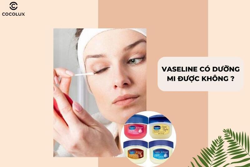 vaseline có dưỡng mi được không