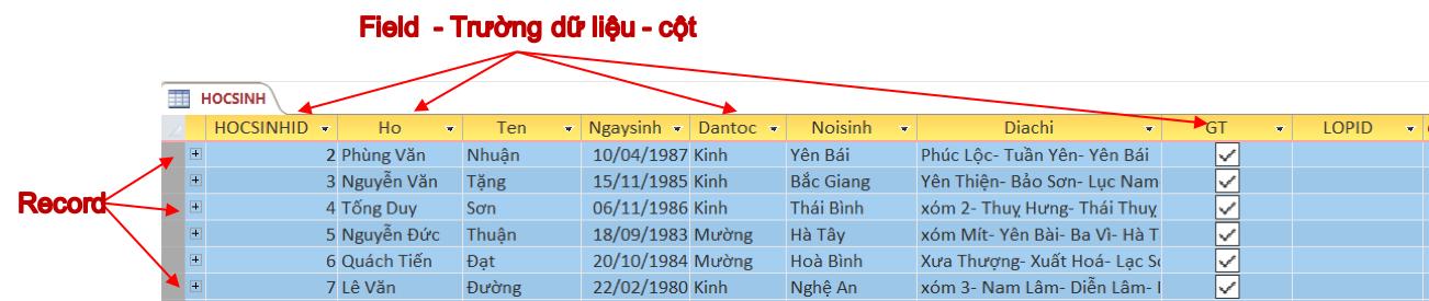 Các khái niệm  cơ bản và thực hành tạo các bảng table trong MS Access