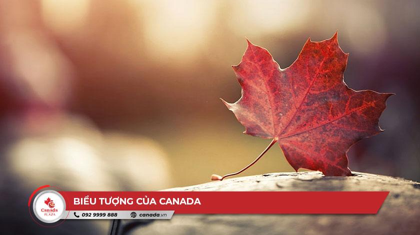 Biểu tượng của Canada