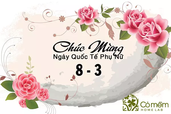 101+ Lời chúc mùng 8 tháng 3 tinh tế, độc nhất có 1-0-2