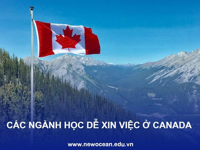 Các ngành học dễ xin việc ở Canada nên chọn khi du học