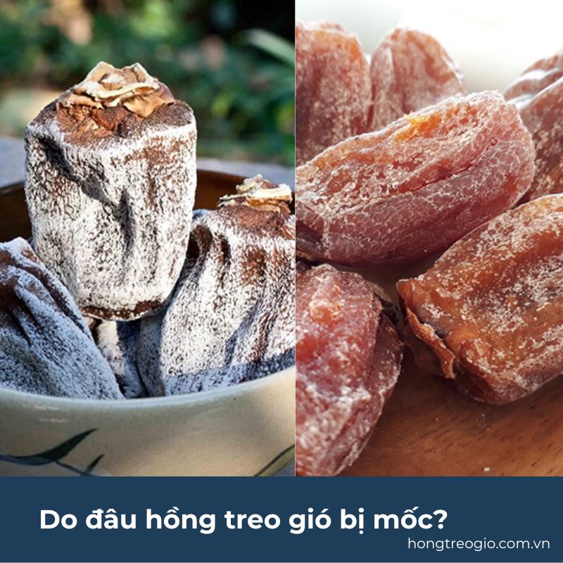 Hồng treo gió lên phấn – Hồng treo gió bị mốc trắng có ăn được không?