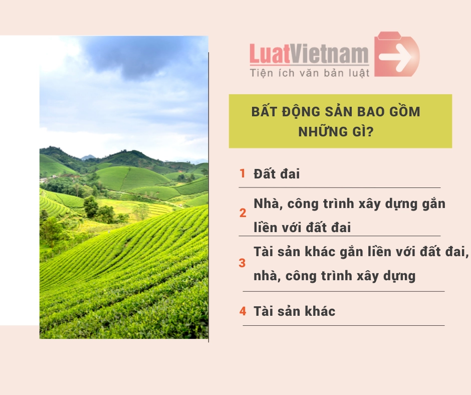 Bất động sản là gì? Cẩm nang đầu tư bất động sản từ A đến Z