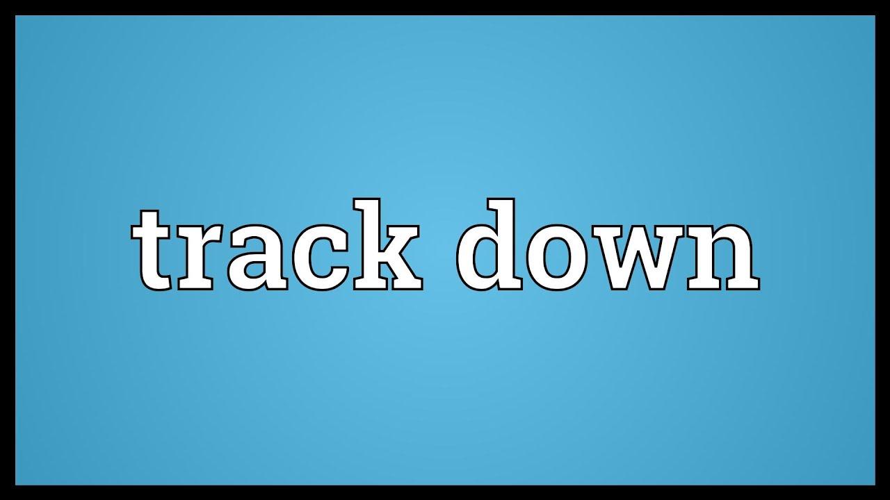 Track Down là gì và cấu trúc cụm từ Track Down trong câu Tiếng Anh