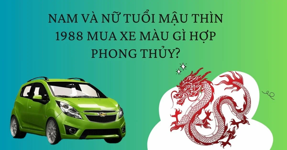 Tuổi 1988 mệnh Mộc ưu tiên chọn các màu xe thuộc mệnh Thủy (Ảnh: Sưu tầm internet)